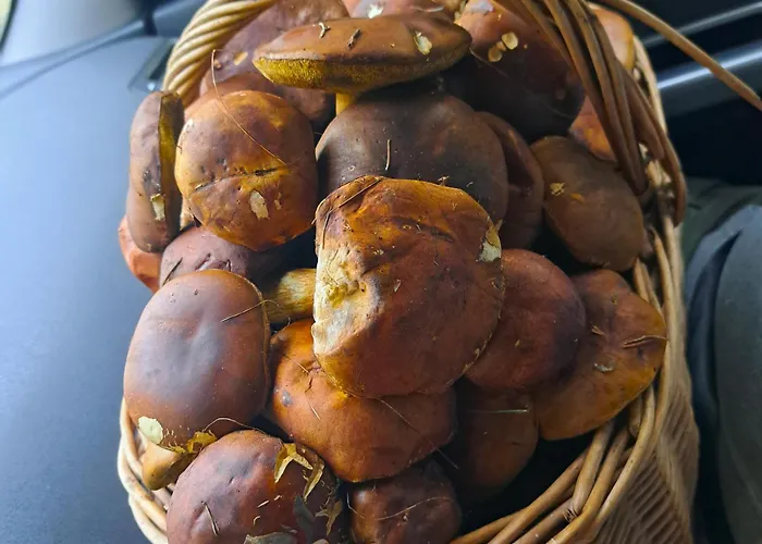 Rumiana W Kaszubskiej Wenecji Prázdninový dům